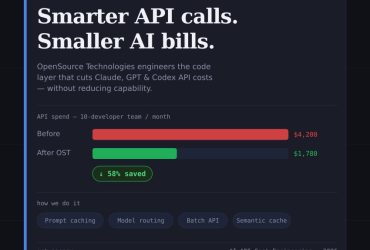 Stop Overpaying for AI APIs